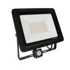 Security LED Floodlights Eave Mount 10w 30w 50w 100w Outdoor Motion Sensor Flood Light With Remote Control