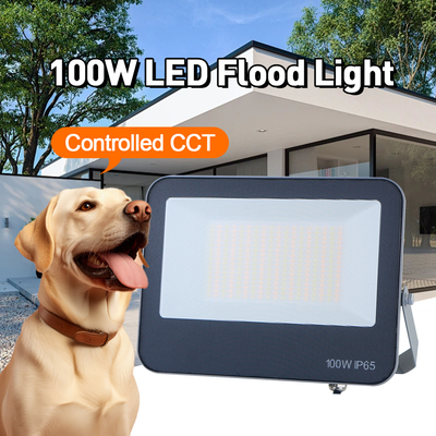 Buiten LED Flood Light 3CCT 3000K 4000K 6500K Aanpasbare kleurtemperatuur IP65 waterdicht grijs materiaal Hoogwaardige lamp