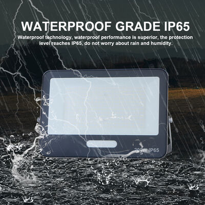 KCD Motion Sensor Outdoor Explosion Proof LED Flood Light 100W Smart Marine Garden Floodlight